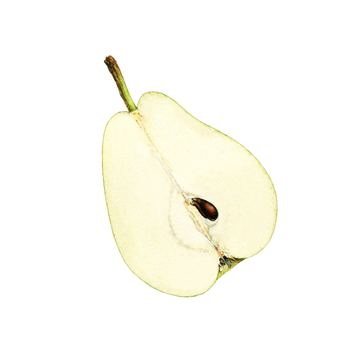 Contentpattern Pear Half