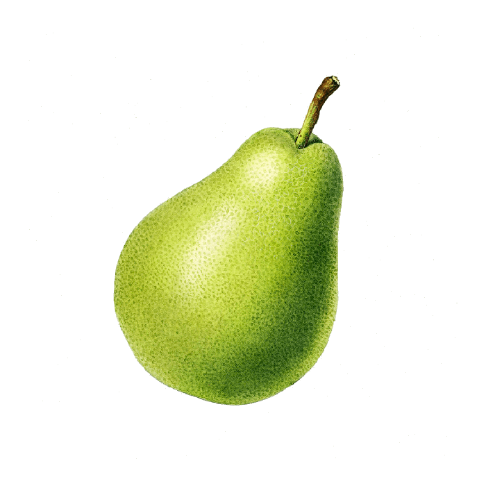 Contentpattern Pear